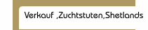 Verkauf ,Zuchtstuten,Shetlands