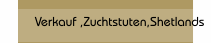 Verkauf ,Zuchtstuten,Shetlands